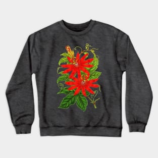 Passiflora vitifolia - Botanical Illustration Crewneck Sweatshirt